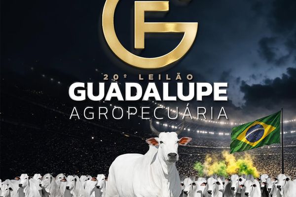 20º Leilão Guadalupe Agropecuária - 1ª Etapa