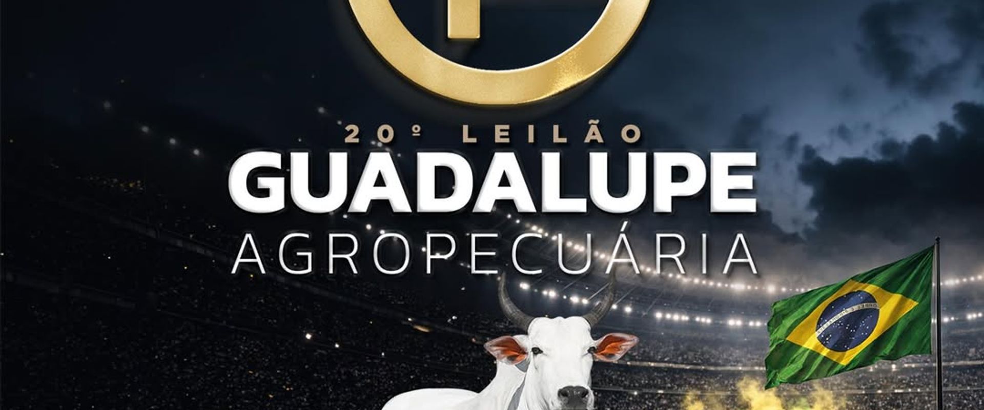 20º Leilão Guadalupe Agropecuária - Etapa Fêmeas