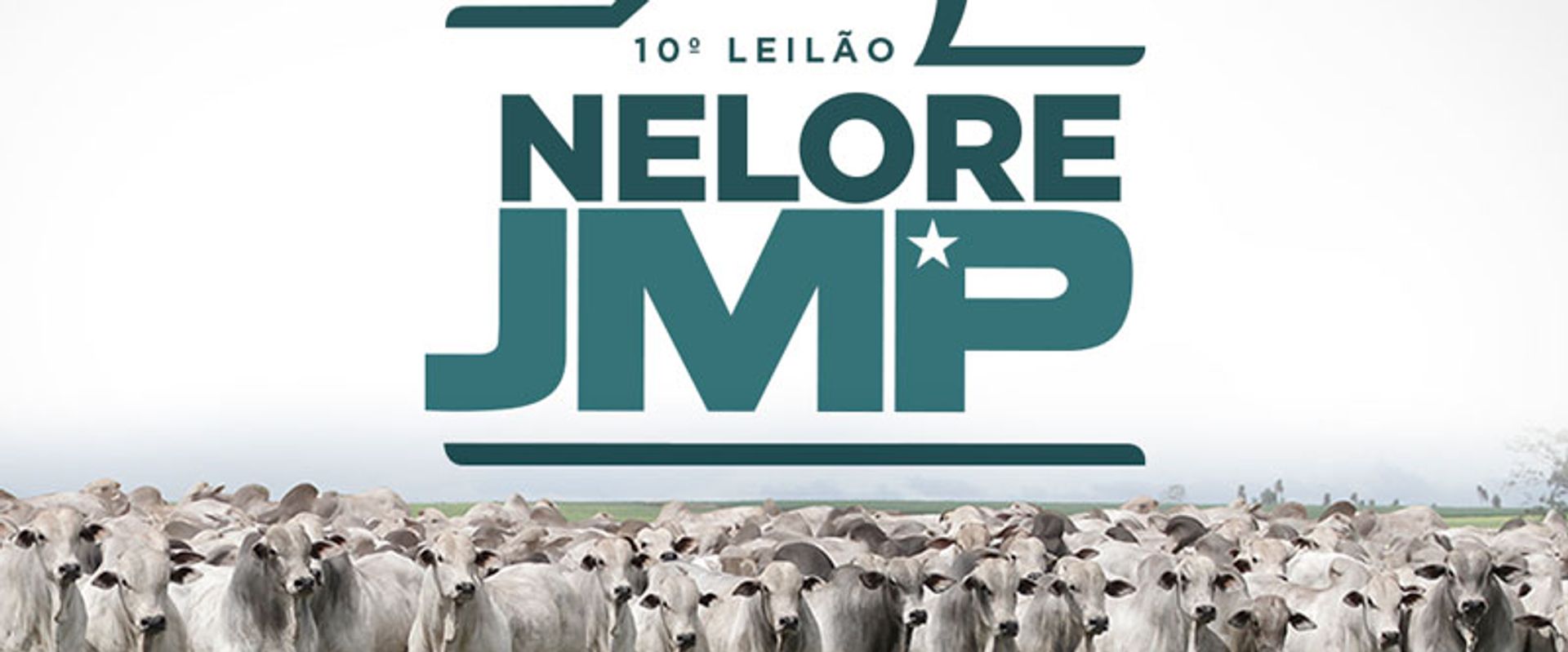 10º Leilão Nelore JMP - 1000 Touros
