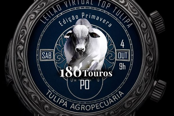 Leilão Virtual Top Tulipa - 180 Touros PO - Edição Primavera 