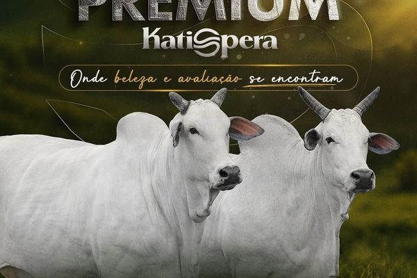  Leilão Matrizes Premium Katispera - ExpoGenética 2026