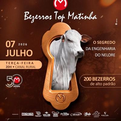 Leilão Virtual Bezerros Top Matinha - Foto 1
