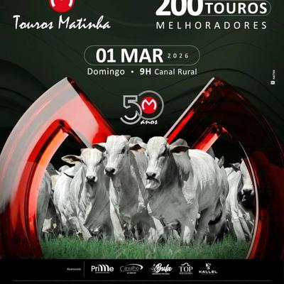 Leilão Top Matinha - Foto 1