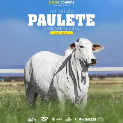 16º Leilão Paulete Agropecuária - Matrizes - Foto 1