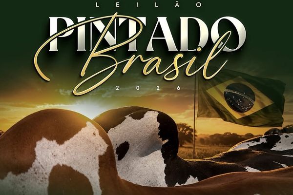 Leilão Pintado Brasil 2026 - Fazenda São Lourenço