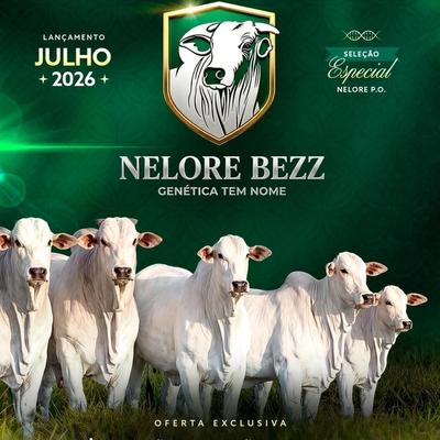 1° Shopping Nelore BEZZ  - Foto 1
