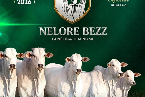 1° Shopping Nelore BEZZ 