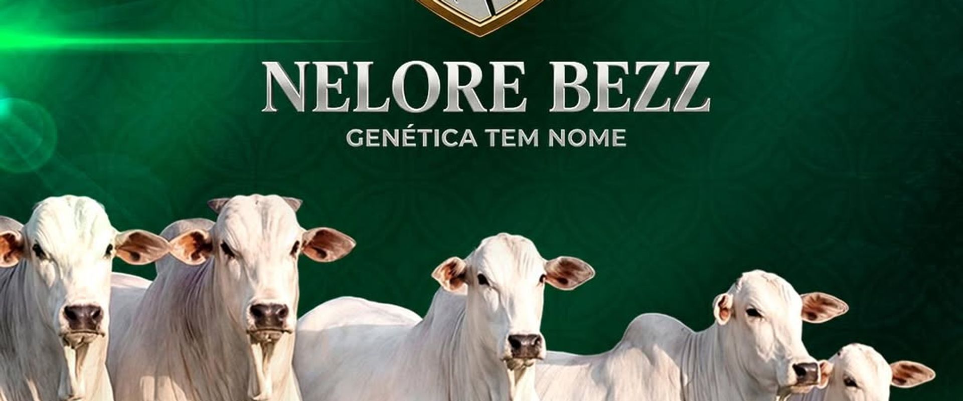 1° Shopping Nelore BEZZ 