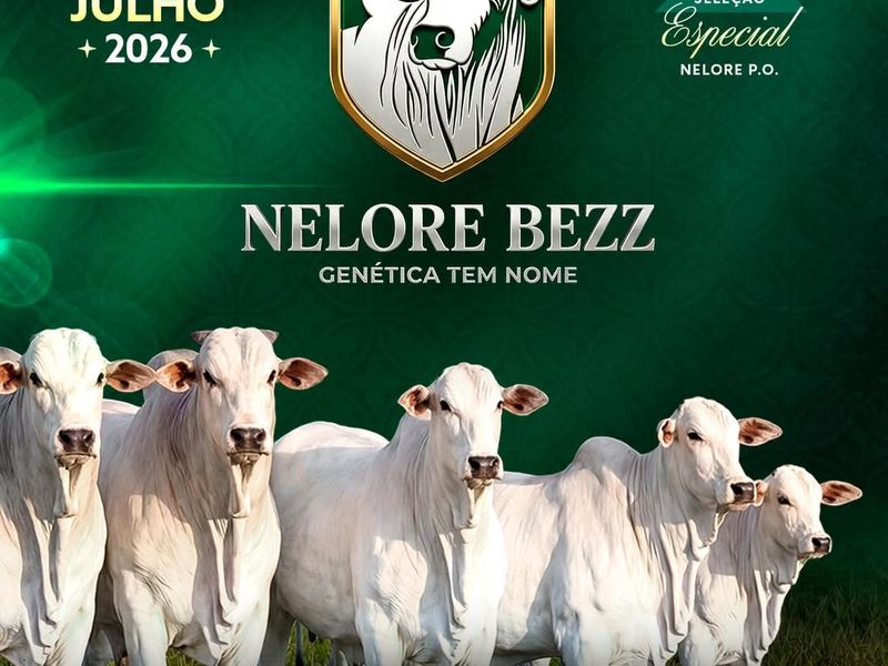 1° Shopping Nelore BEZZ
