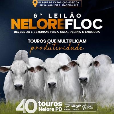 6º Leilão Nelore Floc - Foto 1