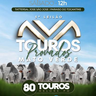 5º Leilão Touros Provados Mato Verde - Foto 1