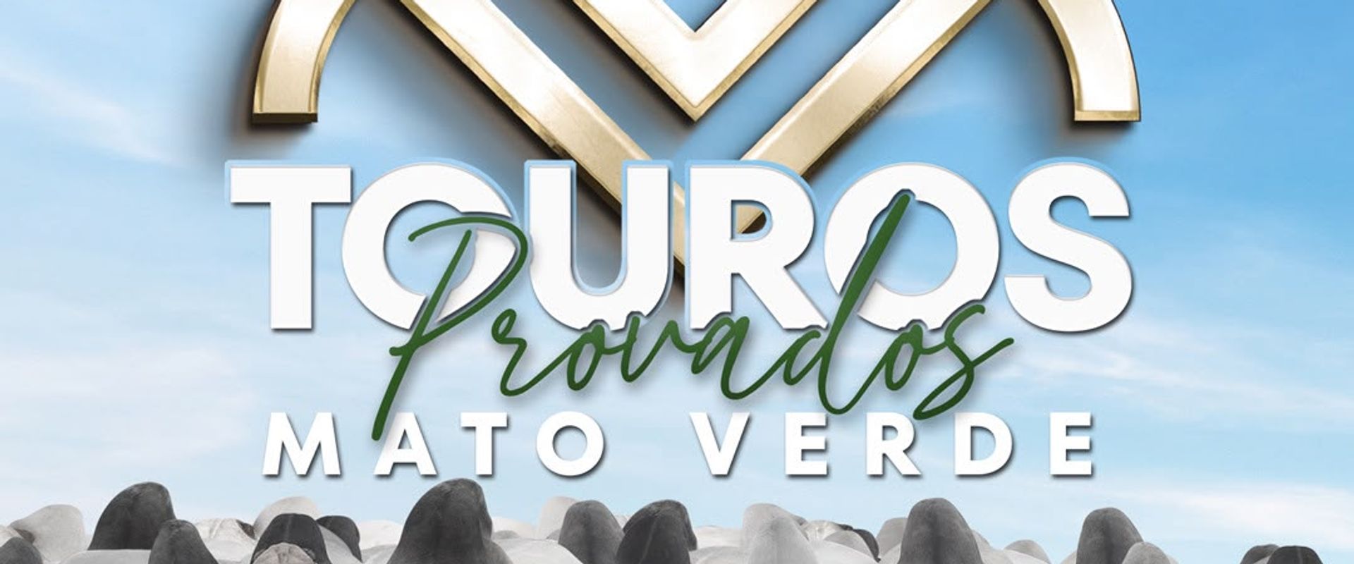 5º Leilão Touros Provados Mato Verde