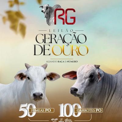 Leilão Geração de Ouro RG - Foto 1