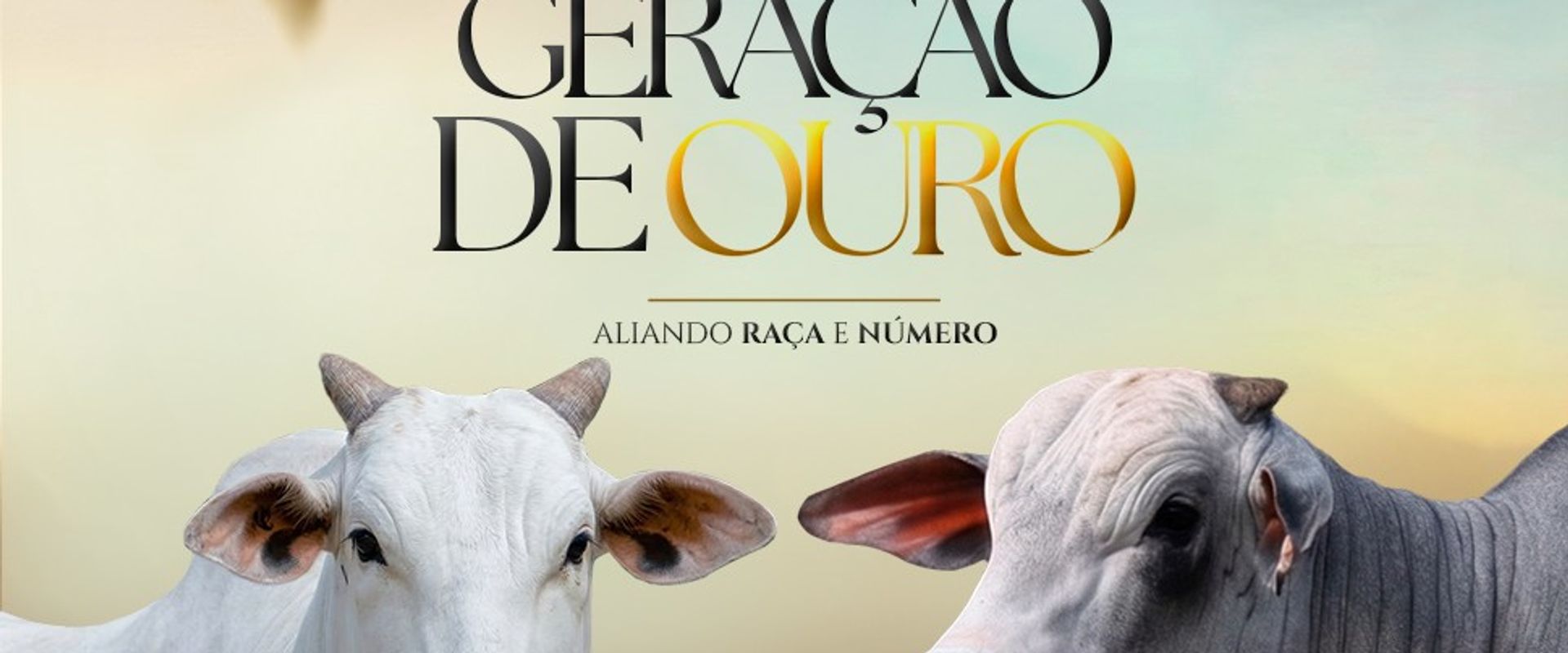 Leilão Geração de Ouro RG