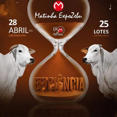 Leilão Matinha Expozebu - Eficiência - Foto 1