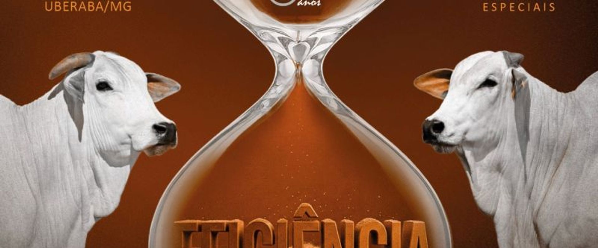 Leilão Matinha Expozebu - Eficiência