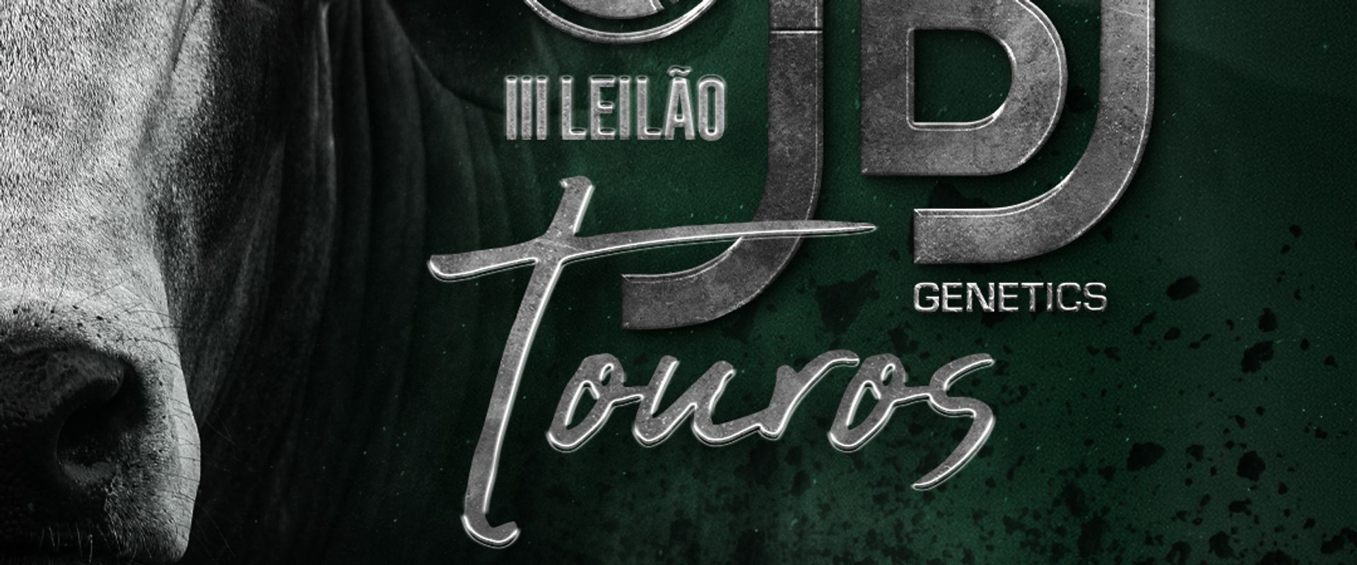 III Leilão Virtual JBJ Genetics - Touros