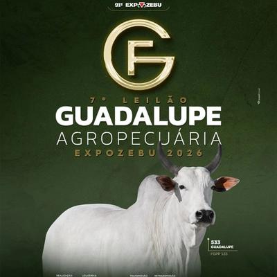 7º Leilão Guadalupe Agropecuária - Expozebu 2026 - Foto 1