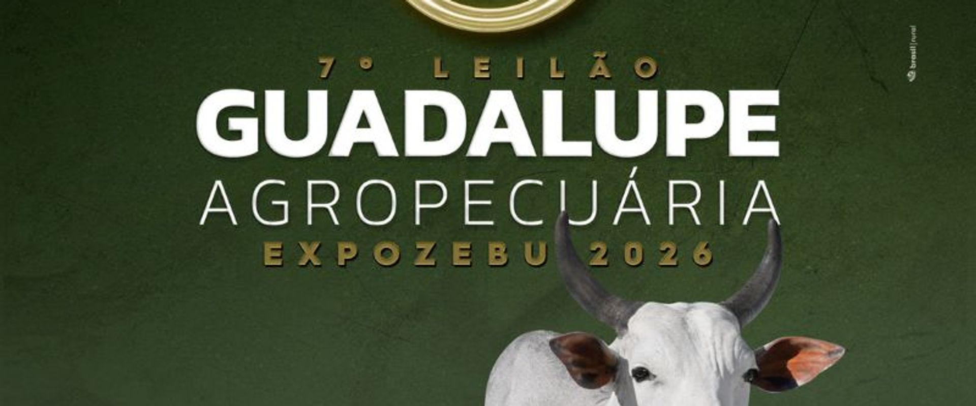 7º Leilão Guadalupe Agropecuária - Expozebu 2026