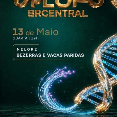 Leilão Upload BRCentral  - Foto 1
