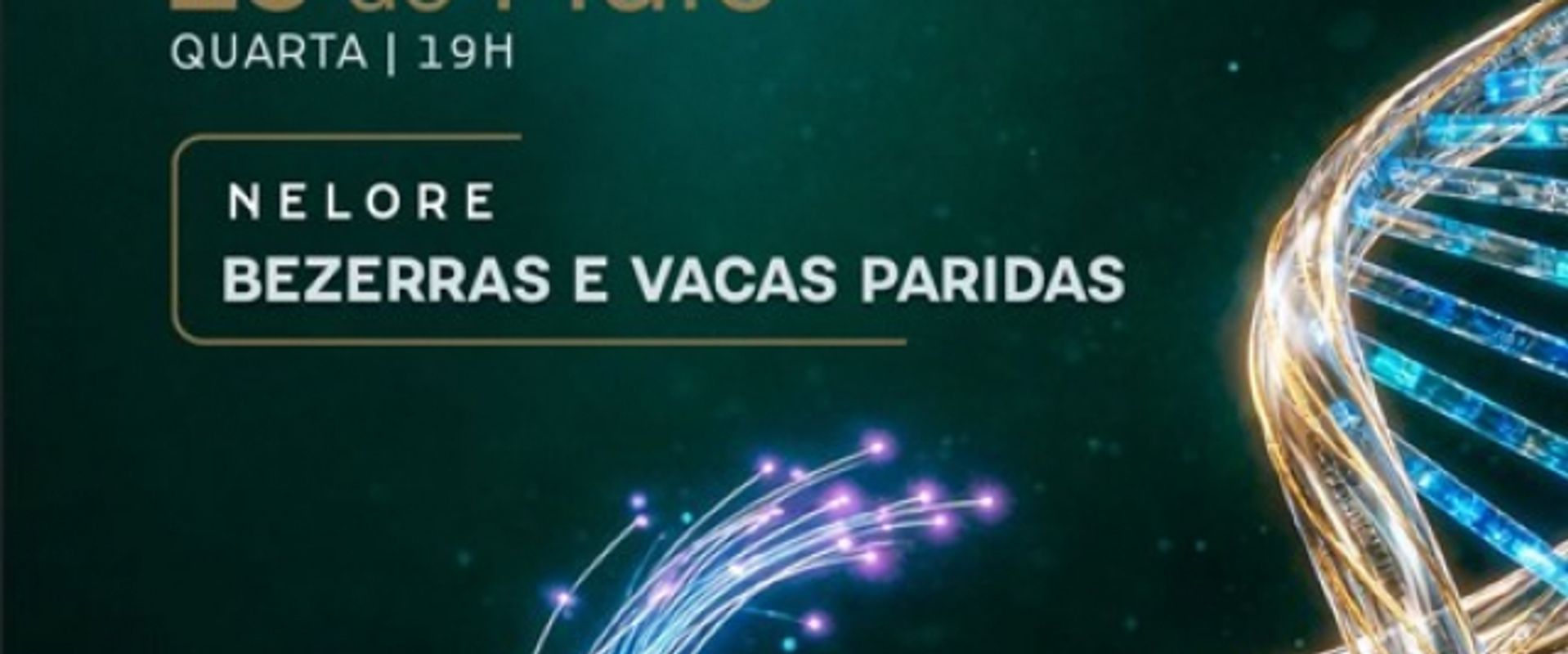 Leilão Upload BRCentral 