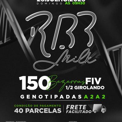 Leilão RBB Milk - 150 Bezerras FIV Girolando Genotipadas A2A2 - Foto 1