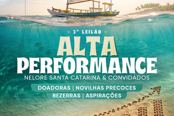 3° Leilão Alta Performance- Nelore Santa Catarina & Convidados 