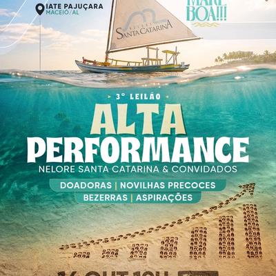 3° Leilão Alta Performance- Nelore Santa Catarina & Convidados - Foto 1