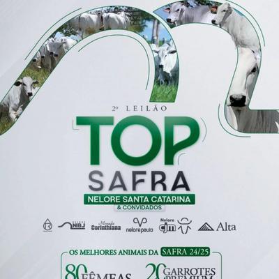 2º Leilão Top Safra - Nelore Santa Catarina e Convidados - Foto 1