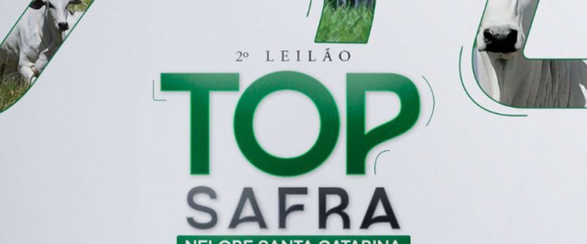 2º Leilão Top Safra - Nelore Santa Catarina e Convidados