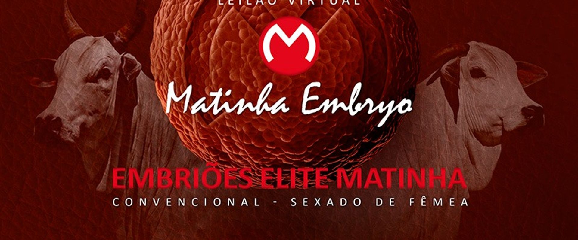 Leilão Matinha Embryo - CPEX