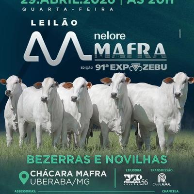 Leilão Mafra - Edição 91º Expozebu - Foto 1