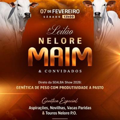 1° Leilão Nelore Maim & Convidados  - Foto 1