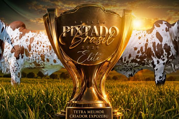 Leilão Pintado Brasil 2026 - Fazenda São Lourenço