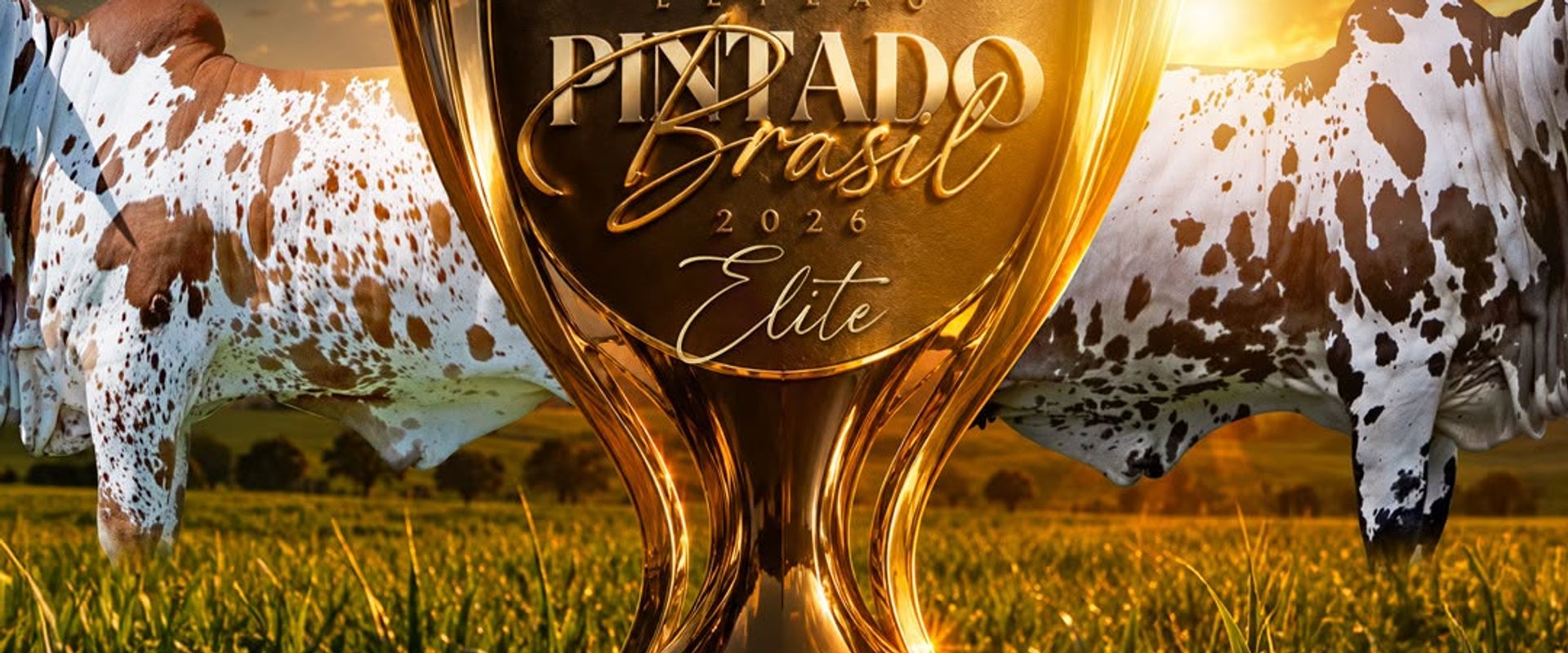 Leilão Pintado Brasil 2026 - Fazenda São Lourenço