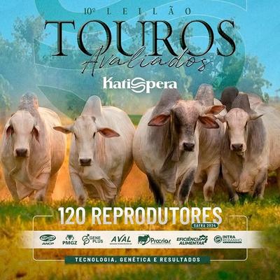 10º Leilão Virtual Touros Avaliados Katispera - Foto 1