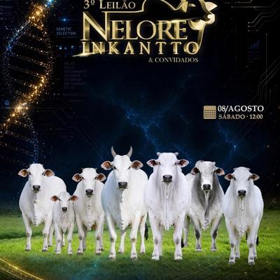 3º Leilão Nelore Inkantto & Convidados - Foto 1