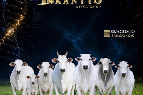 3º Leilão Nelore Inkantto & Convidados