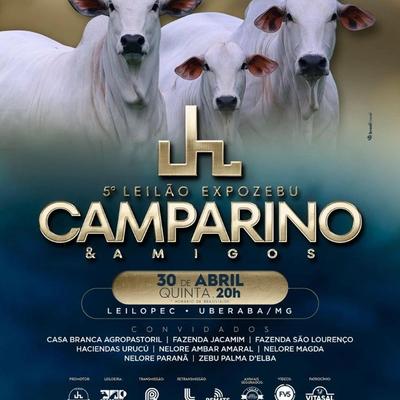 5° Leilão Expozebu Camparino & Amigos - Foto 1