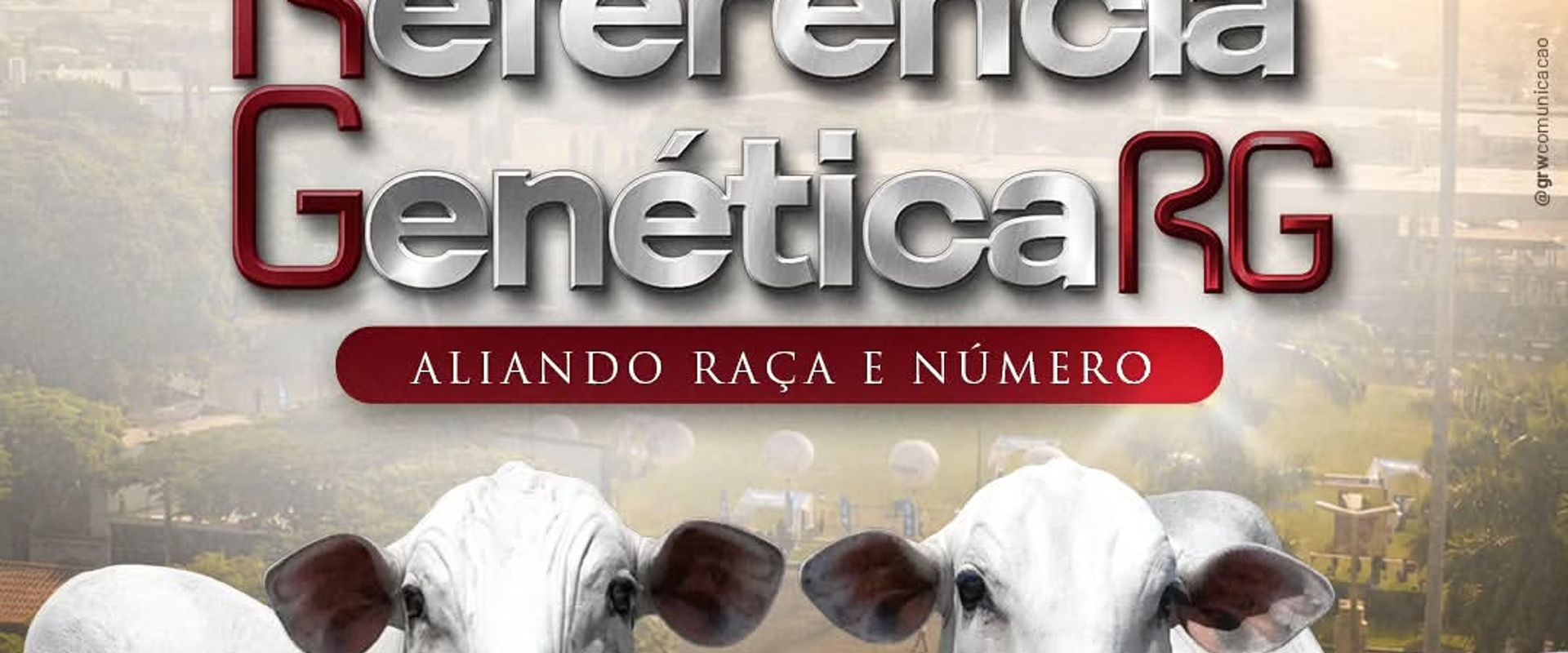 Leilão Referência Genética RG - ExpoGenética 2026