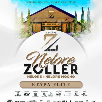 Leilão Nelore Zoller - Elite - Foto 2