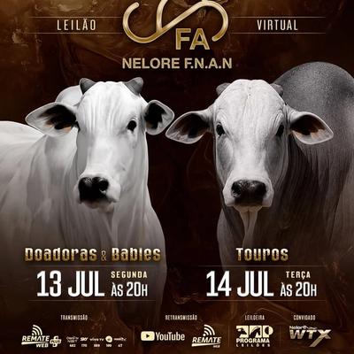 Leilão Virtual Touros Nelore F.N.A.N - Foto 1