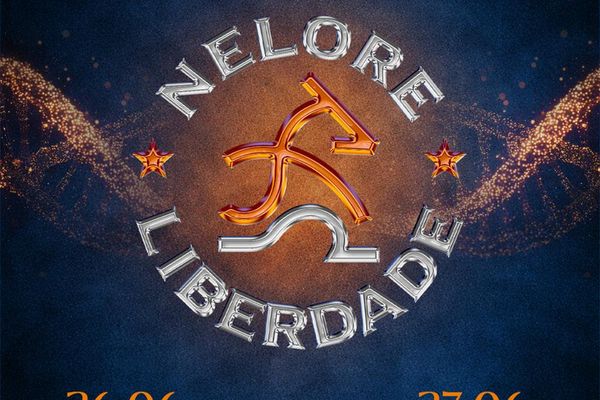 Leilão Elite Provada Nelore Liberdade  