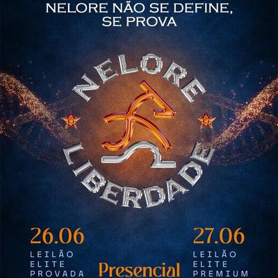 Leilão Elite Premium Nelore Liberdade - Foto 1