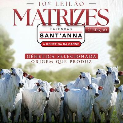10º Leilão Matrizes Sant'Anna - Foto 1