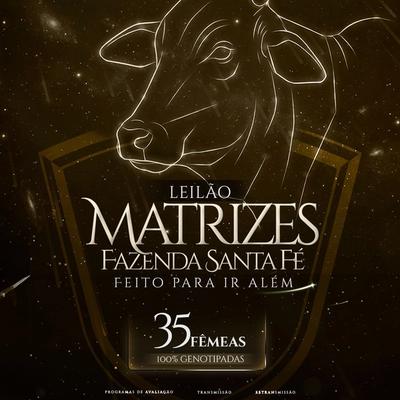 Leilão Matrizes Fazenda Santa Fé - Foto 1