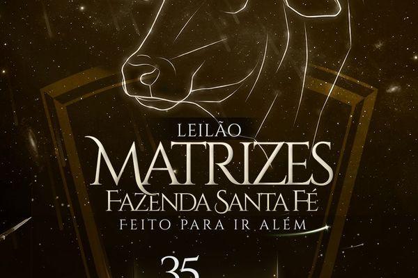 Leilão Matrizes Fazenda Santa Fé