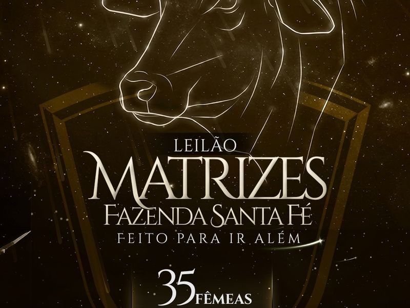 Leilão Matrizes Fazenda Santa Fé