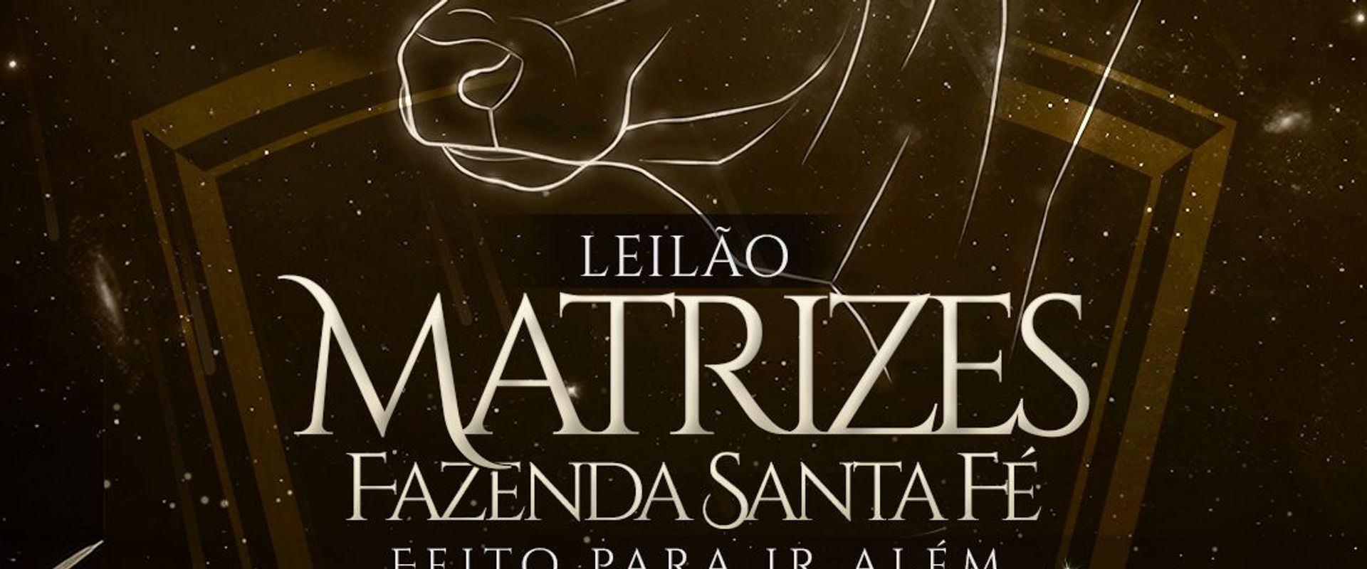 Leilão Matrizes Fazenda Santa Fé