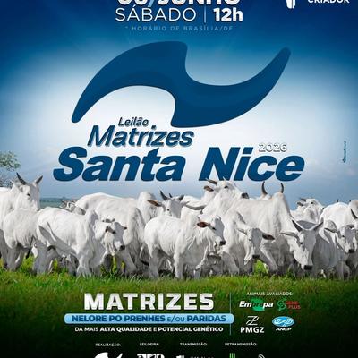 Leilão Matrizes Santa Nice 2026 - Foto 1